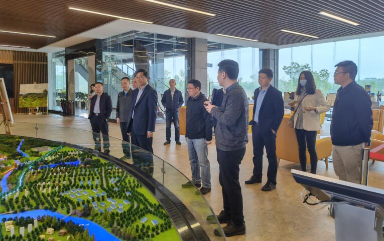 广西旅发集团党委书记、董事长容贤标考察集团文旅项目